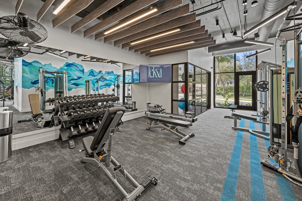 A gym with a row of treadmills and a blue stripe on the floor.