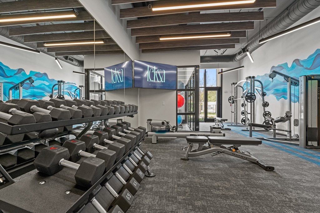 A gym with a row of dumbbells on a rack.
