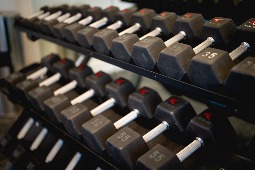 A set of dumbbells with weights ranging from 5 to 55 pounds are lined up on a rack.
