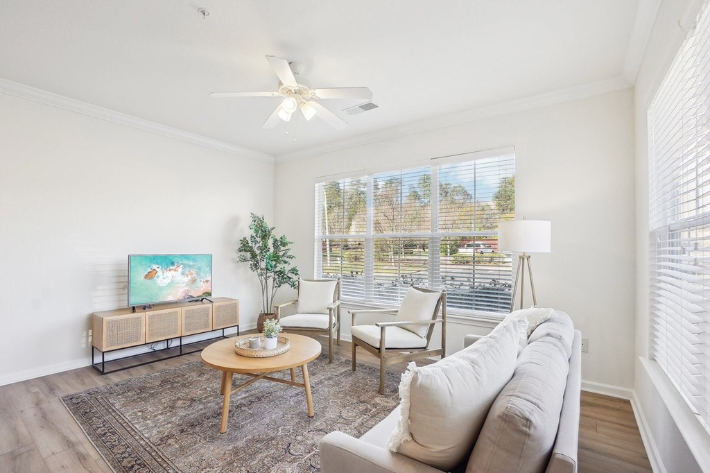 A living room with a white couch, a wooden coffee table, a flat screen TV on a wooden cabinet, a potted plant, and a window with blinds.