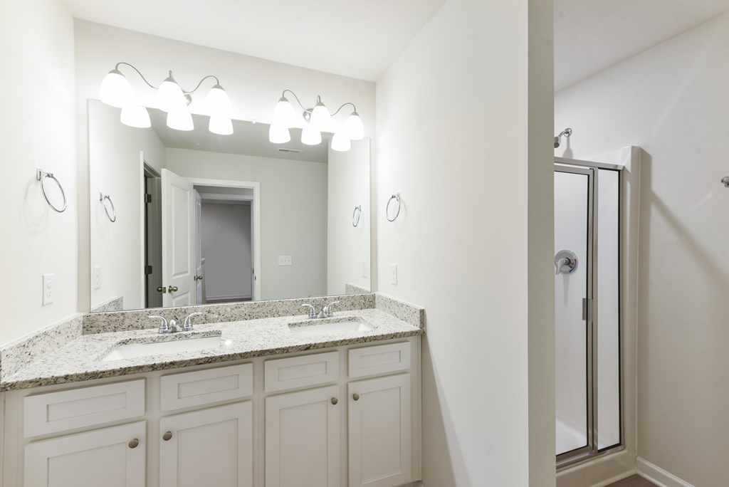 a bathroom with a sink and a mirror and a shower