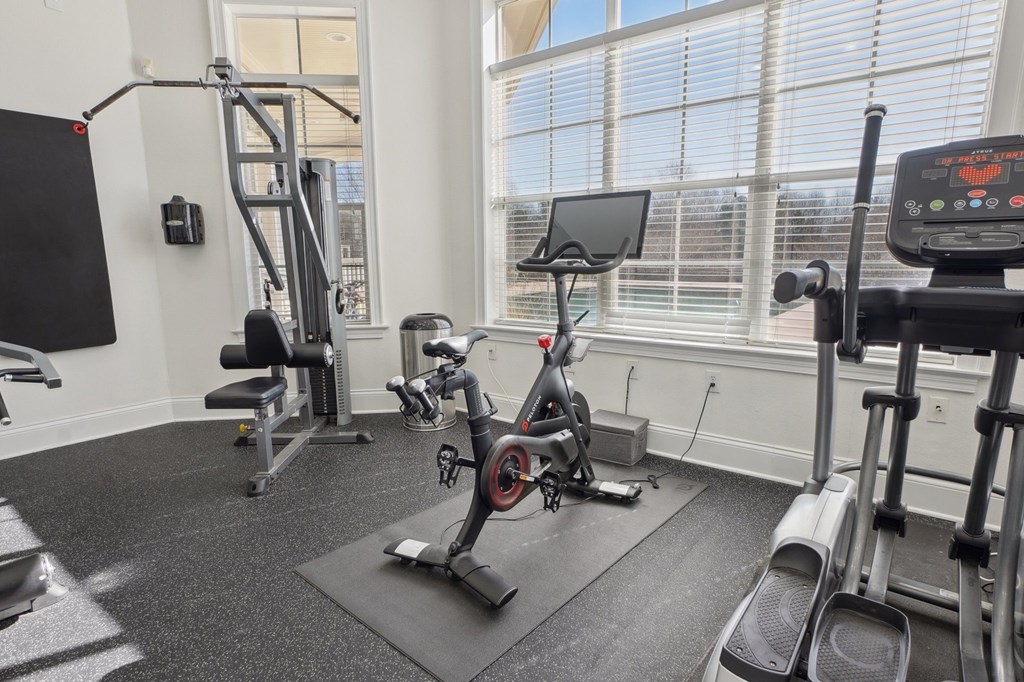 A gym with a variety of equipment including a treadmill, weights, and a bench press.