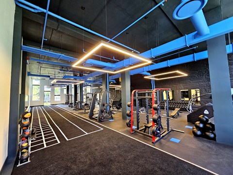 A gym with a variety of equipment including weights and weight racks.