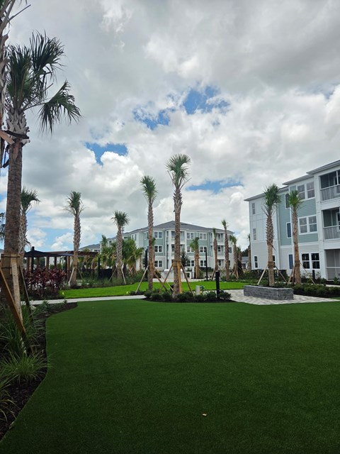 A grassy area with palm trees and a building in the background.