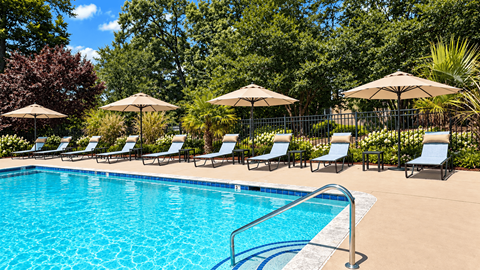 A pool surrounded by trees and chairs with umbrellas.