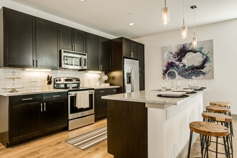 A modern kitchen with black cabinets and stainless steel appliances.