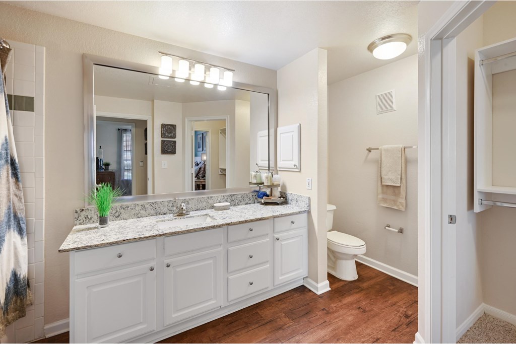 a bathroom with a large mirror and a sink and a toilet