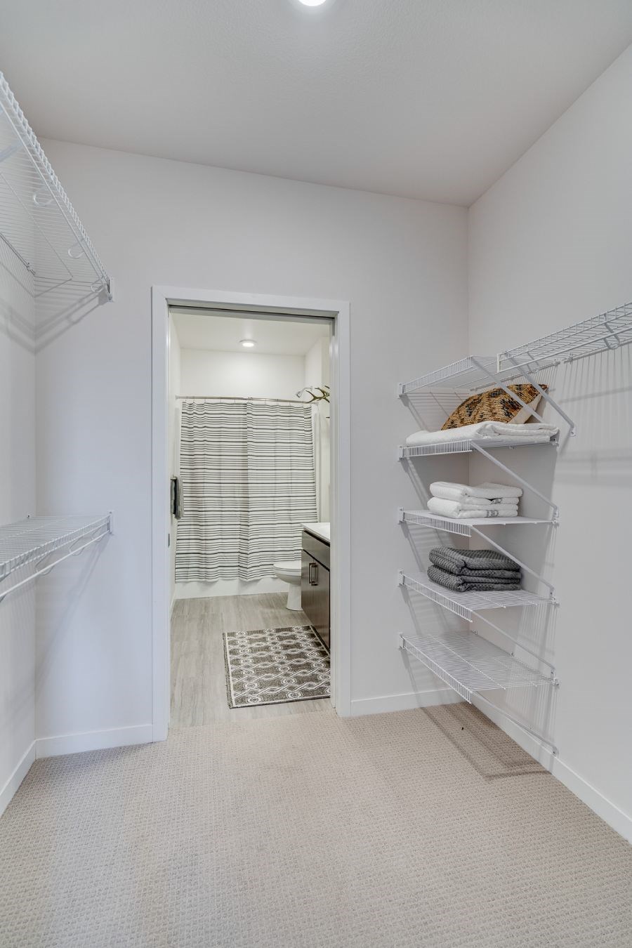 Flats closet with built in shelving and racks
