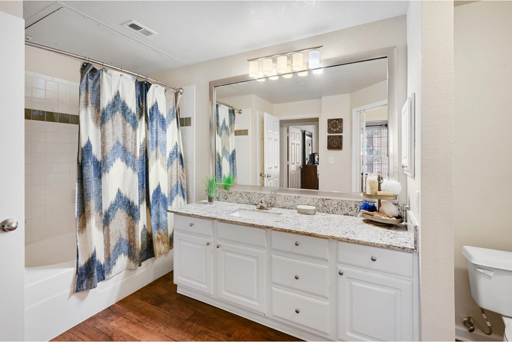a bathroom with a sink and a shower and a mirror