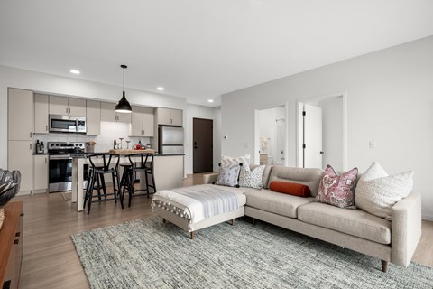A modern living room with a grey sofa and a grey rug.