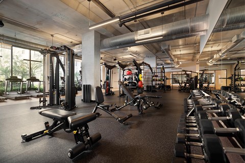 A gym with a variety of equipment including weights and machines.