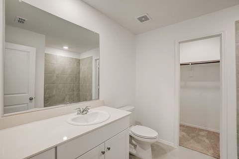 Bathroom with white cabinets, a sizable mirror, and an attached walk-in closet, providing a functional and well-organized personal space.