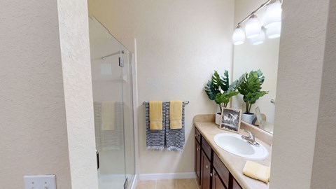 a bathroom with a shower and a sink and a mirror