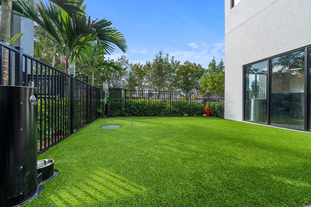 A small, well-kept lawn in front of a building.