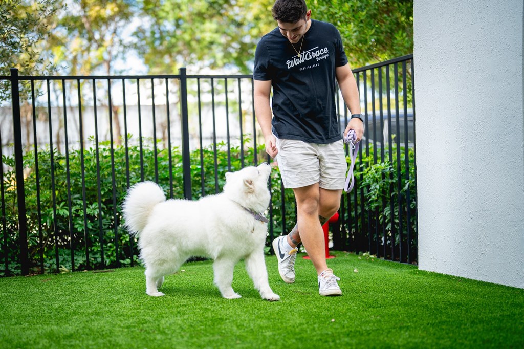 A man walking his white dog in a green yard.