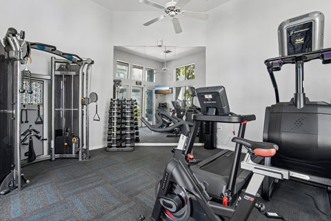 A gym with a rowing machine, a treadmill, and a weight rack.