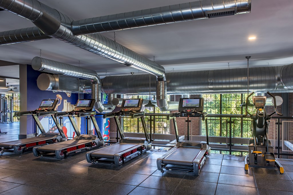 A gym with treadmills and elliptical machines.