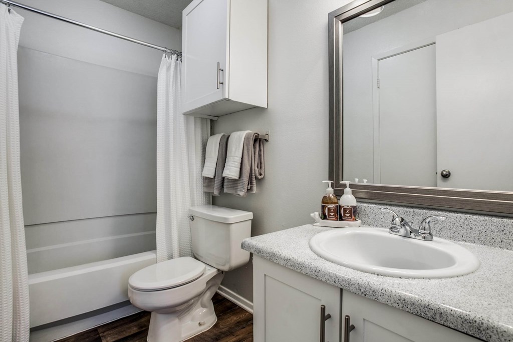 a bathroom with a sink toilet and a mirror