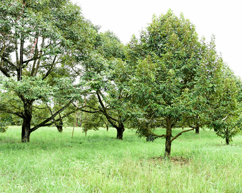 The floorplan name is Conewago with two bedrooms and two bathrooms at 1,023 sq. ft.