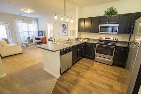 A modern kitchen with black cabinets and stainless steel appliances.
