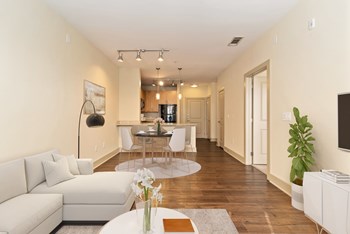 Spacious Living Room | Hardwood Floors | Eleven North