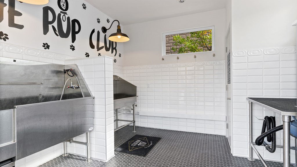 Pet spa with dog washing stations and grooming table