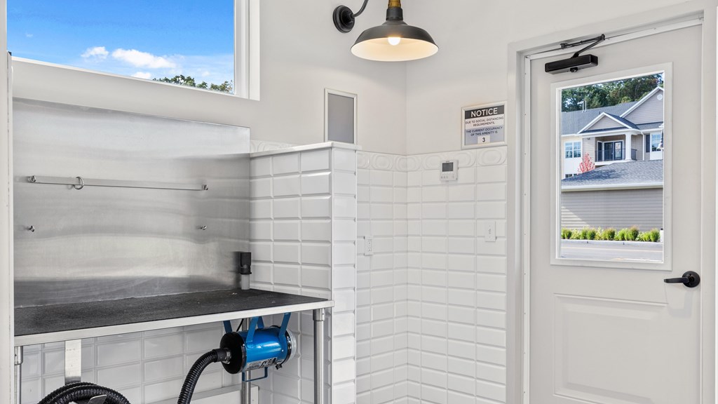 Pet spa with dog washing station