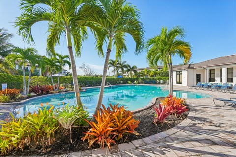 A pool surrounded by palm trees and plants.