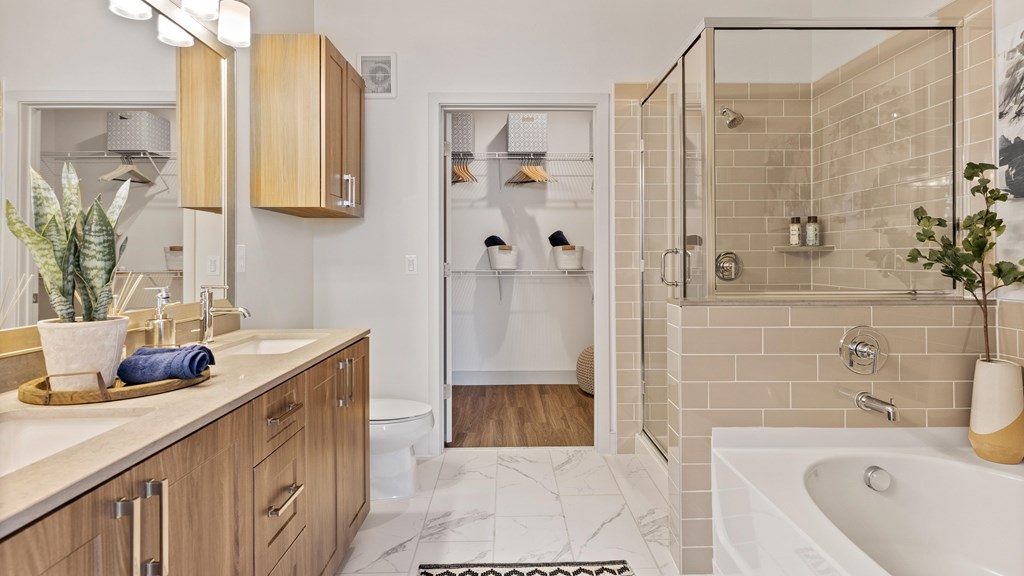 Bathroom with dual vanity, walk-in shower with glass door and separate bath tub and walk-in closet connected