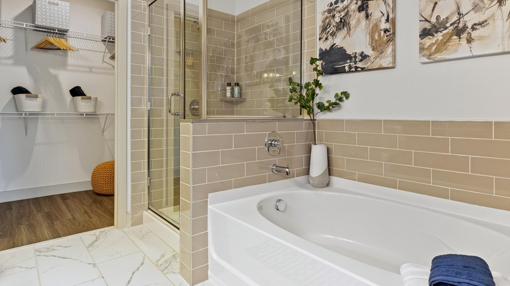 Bathroom with walk-in shower with glass door and separate bath tub and walk-in closet connected