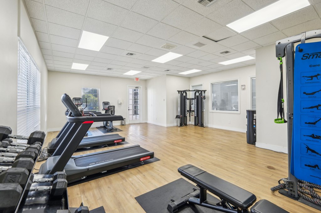 A gym with a variety of equipment including treadmills, weights, and a bench.
