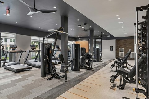 A gym with a variety of equipment including treadmills, weights, and a fan.