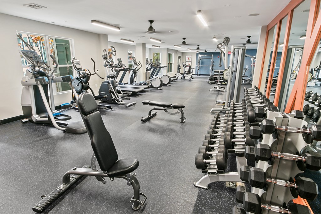 a gym with cardio equipment and weights on the floor
