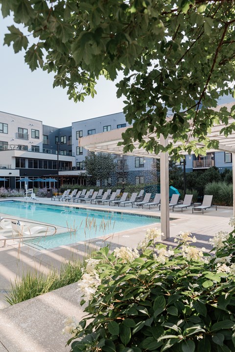A pool surrounded by chairs and trees with a building in the background.