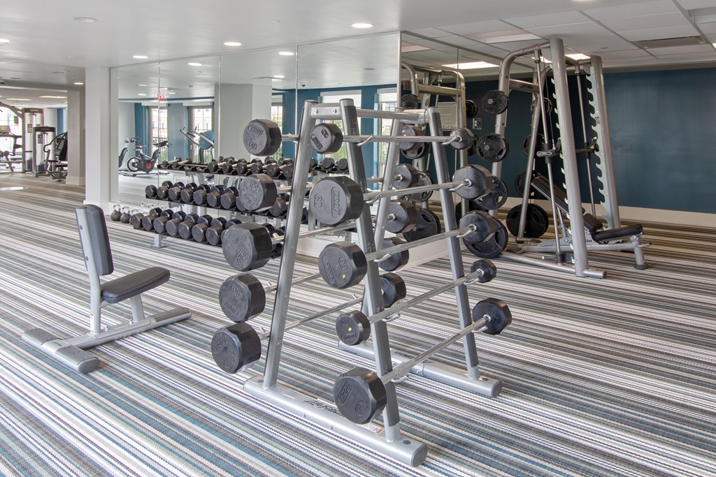 the weights room in the fitness center has many racks of weights