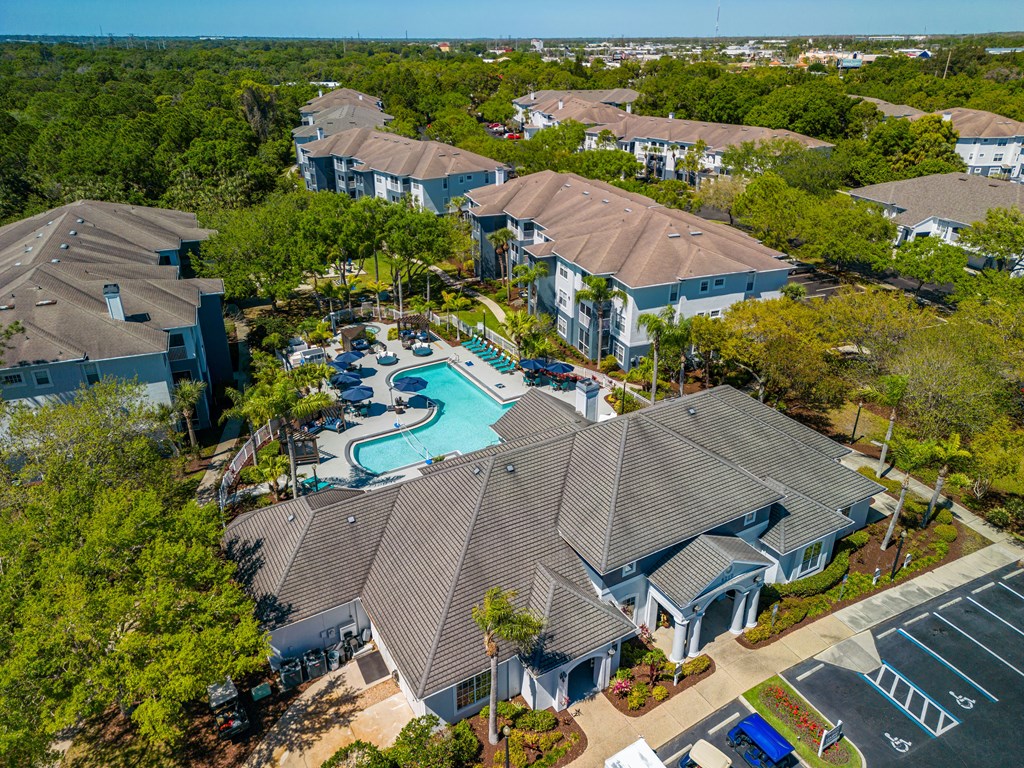a aerial view of the resort style pool