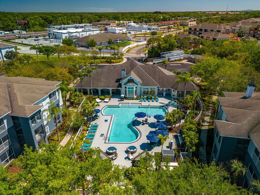 an aerial view of the resort style pool with lounge chairs and umbrellas