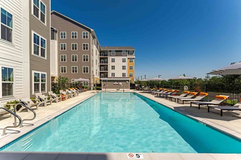 51 Oriol Dr Studio-3 Beds Apartment for Rent