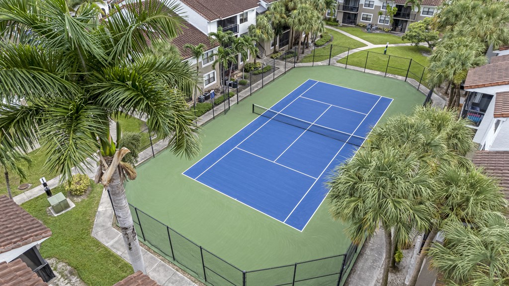 a blue tennis court surrounded by palm trees
