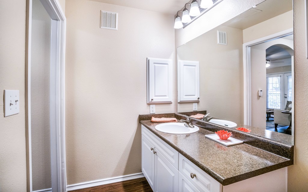 a bathroom with a sink and a mirror