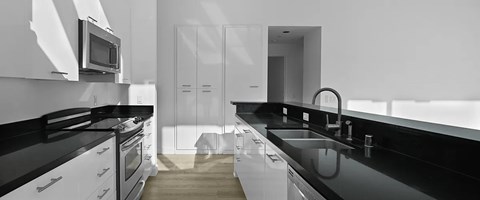 A black and white kitchen with a sink and a microwave.