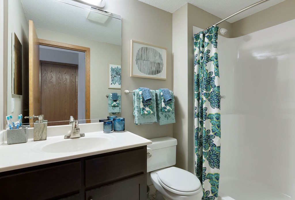 a bathroom with a shower toilet and sink and a mirror