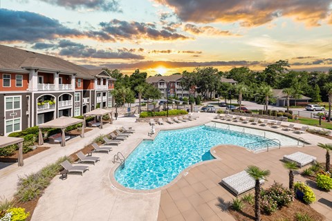 A large swimming pool surrounded by lounge chairs and palm trees.