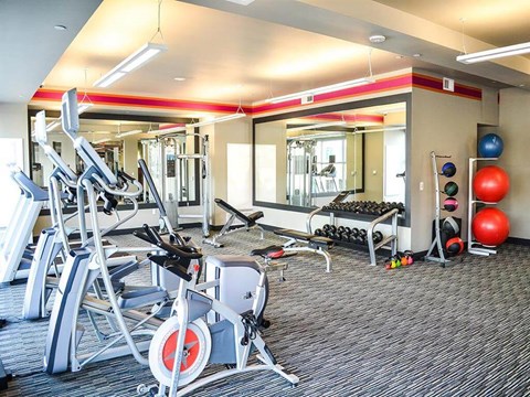 a gym with a bunch of exercise equipment in it