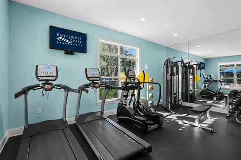 A gym with treadmills, elliptical machines, and a television screen showing "Brookberry Park".