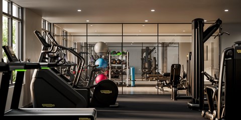 A gym with treadmills, weights, and other exercise equipment.