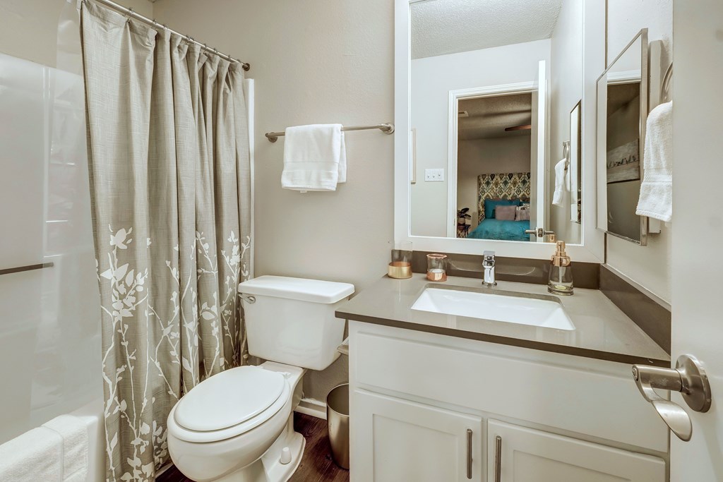 Rock Springs bathroom showing vanity, toilet, shower, and view of closet.
