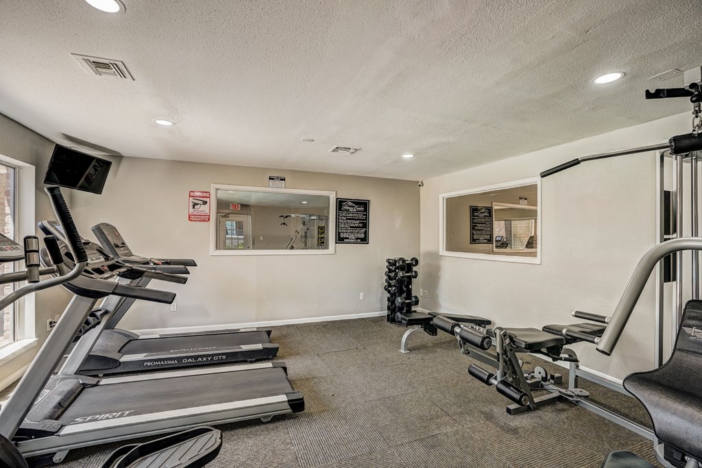 the gym has plenty of exercise equipment and a mirror