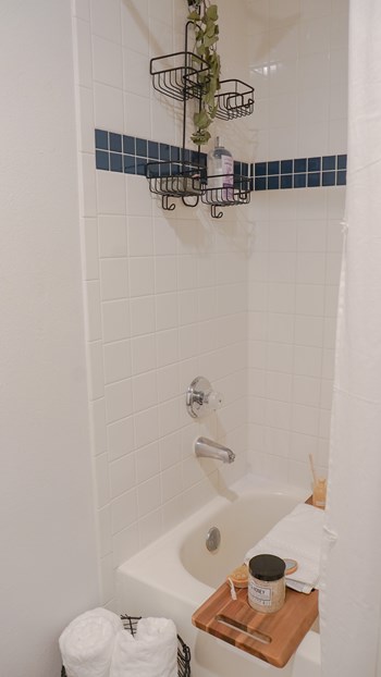 Standing Shower & Soaking Tub - Photo Gallery 15