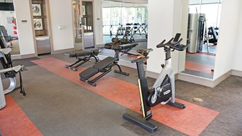 Stationary bike and benches for free weights - Photo Gallery 49